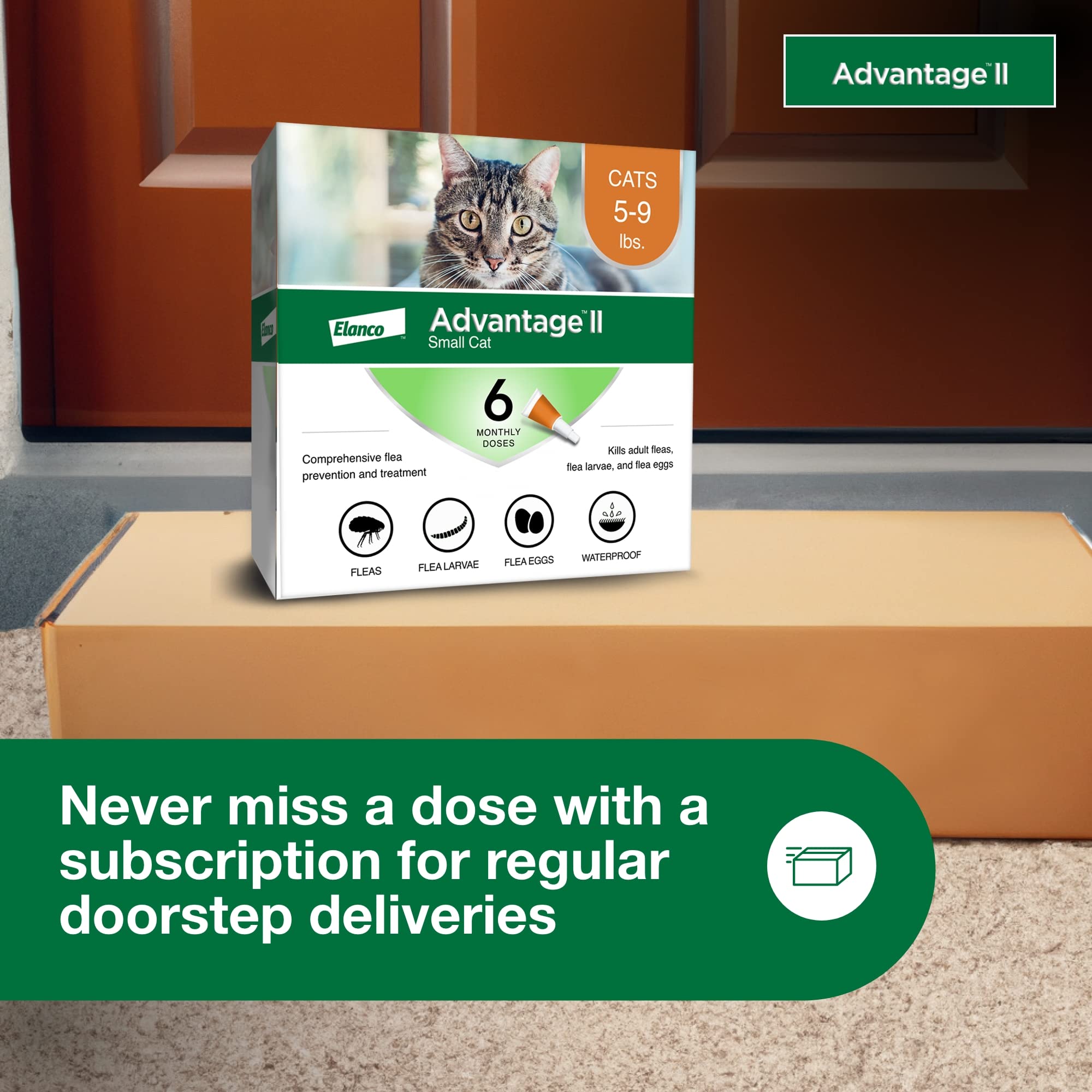 Uso en interior y exterior con Advantage II para gatos pequeños.
