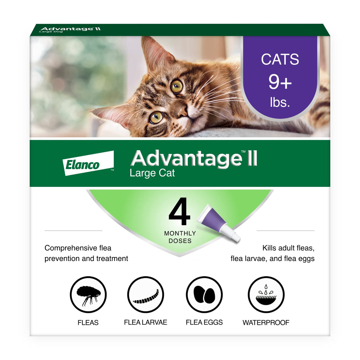 Advantage II Large Cat: aplicación en nuca para tratamiento cómodo.