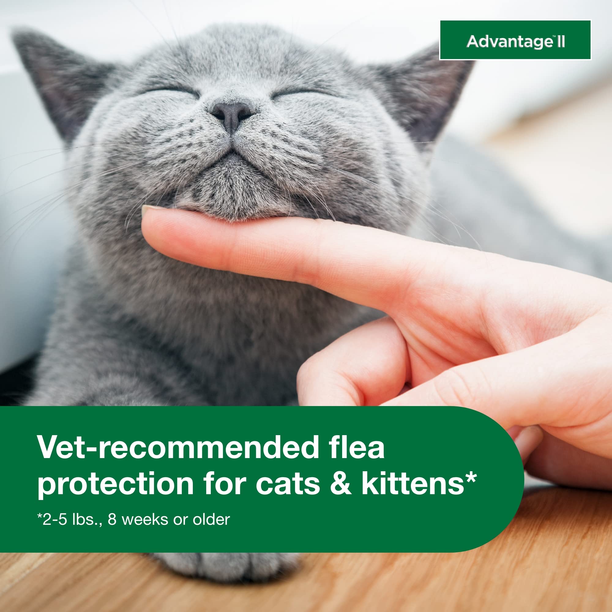 Advantage II Kitten: protección total contra pulgas adultas, larvas y huevos