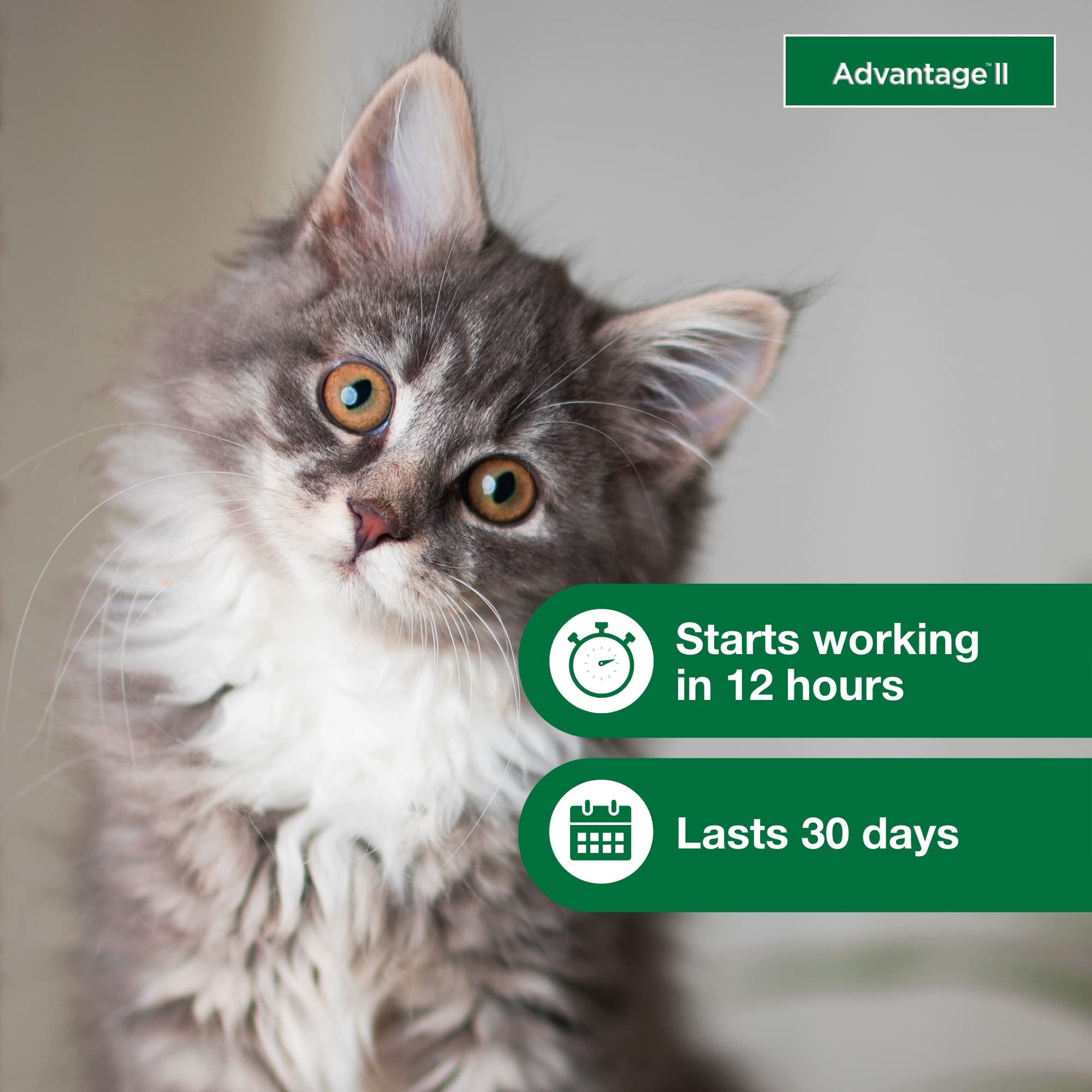 Advantage II Kitten: fórmula sin fragancia para gatitos sensibles