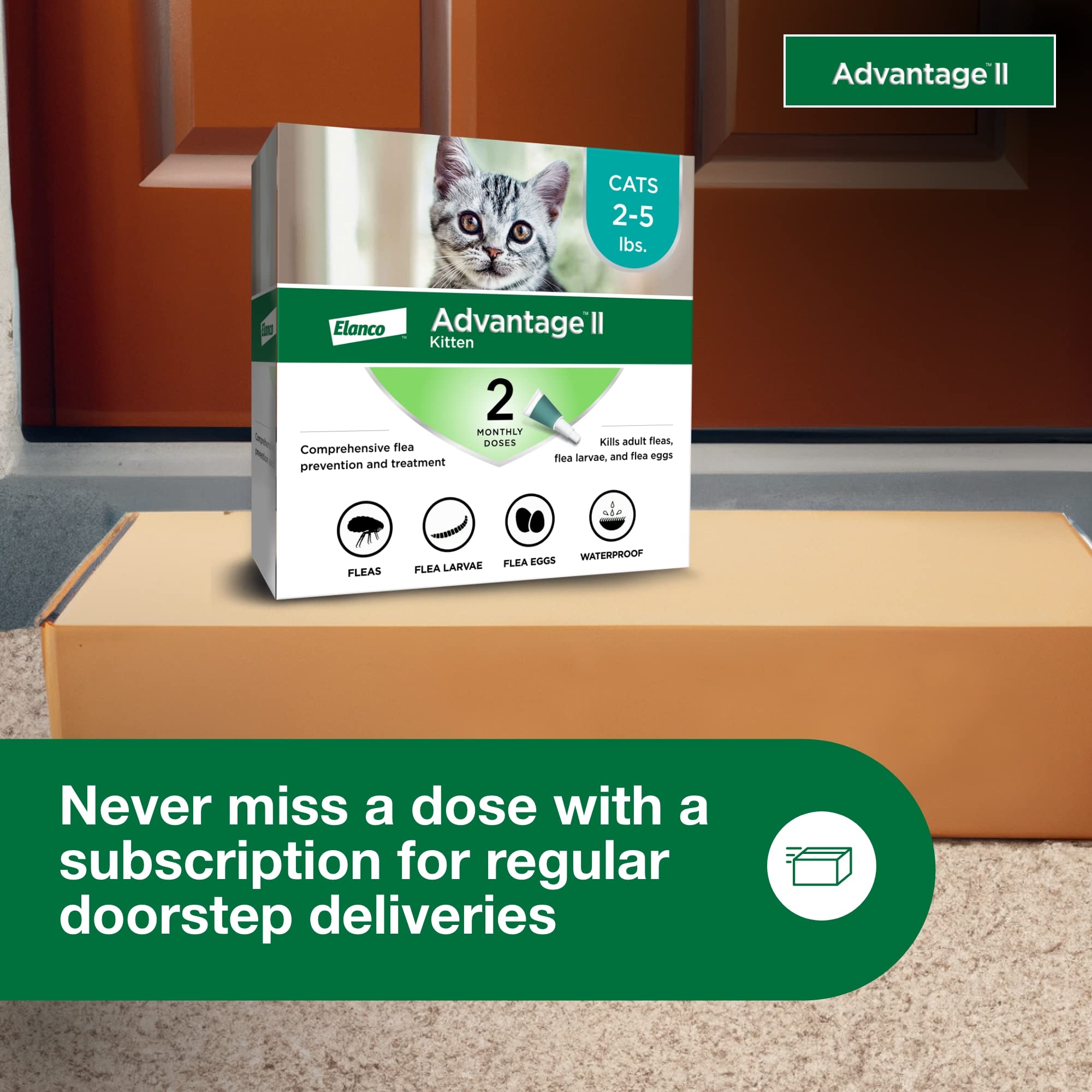 Advantage II Kitten: apto para gatos de interiores y exteriores