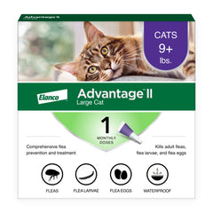 Advantage II Large Cat, base del cuello: aplicación rápida y cómoda para gatos grandes.