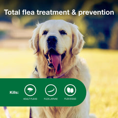 Perro grande de 21 a 55 libras con Advantage II.