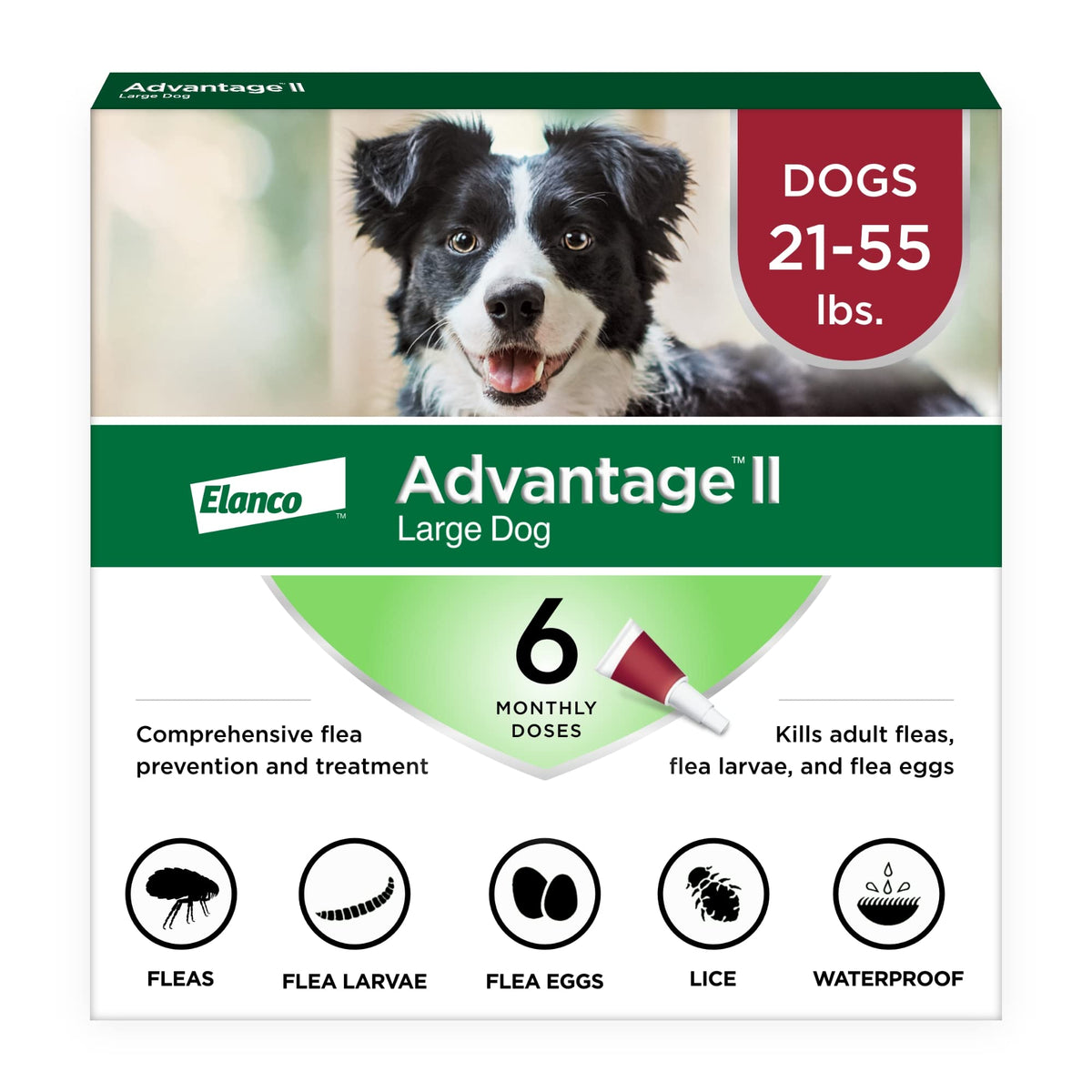 Advantage II para perros grandes: presentación y uso sencillo para el cuidado de pulgas.