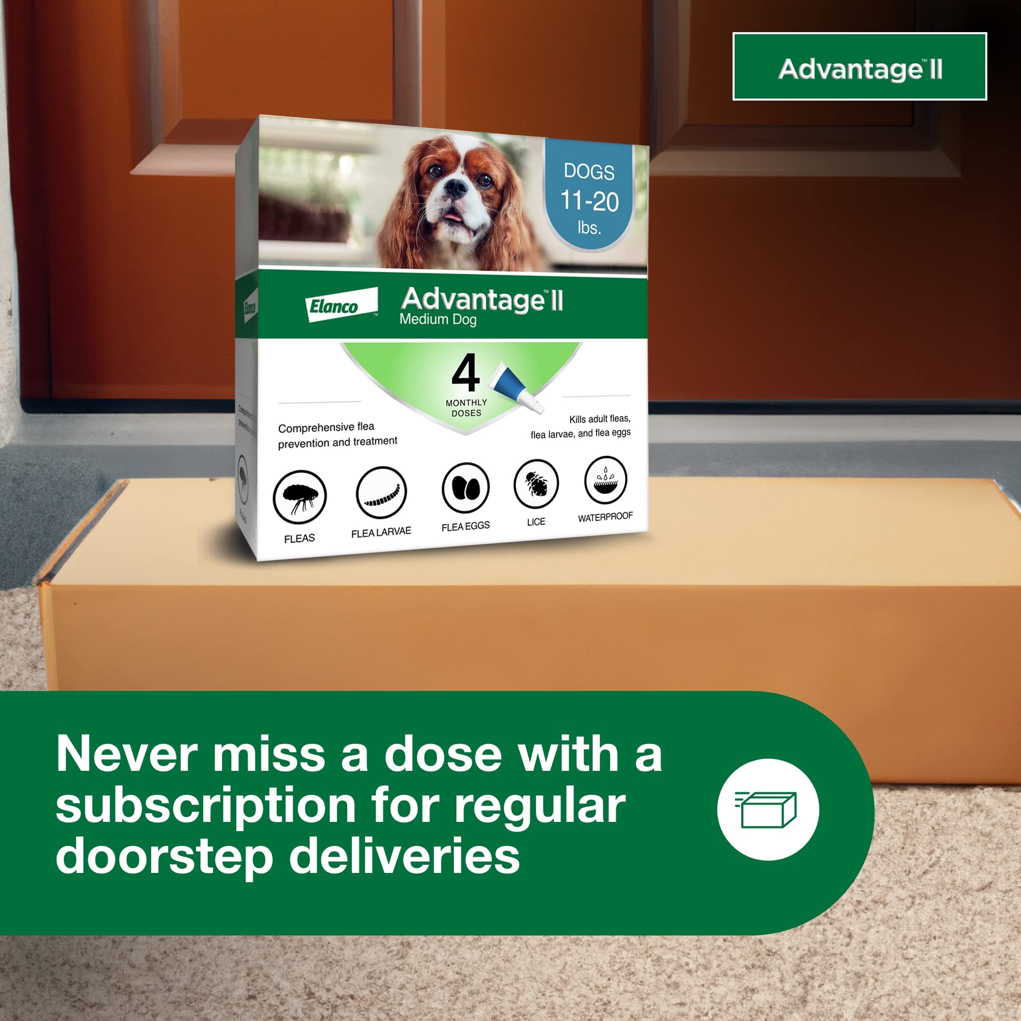 Advantage II para perros medianos: tratamiento tópico fácil de aplicar.