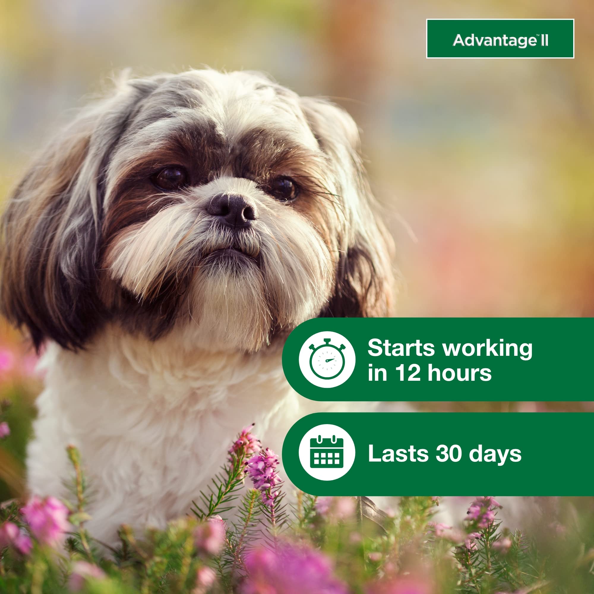 Advantage II protege durante 30 días en perros pequeños
