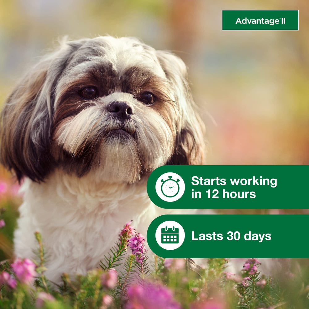 Advantage II protege durante 30 días en perros pequeños