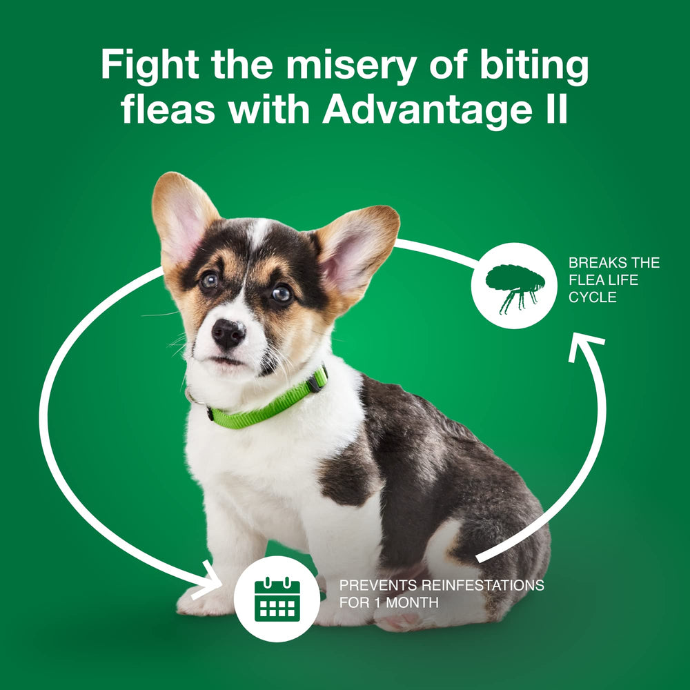 Advantage II sin fragancia para perros sensibles