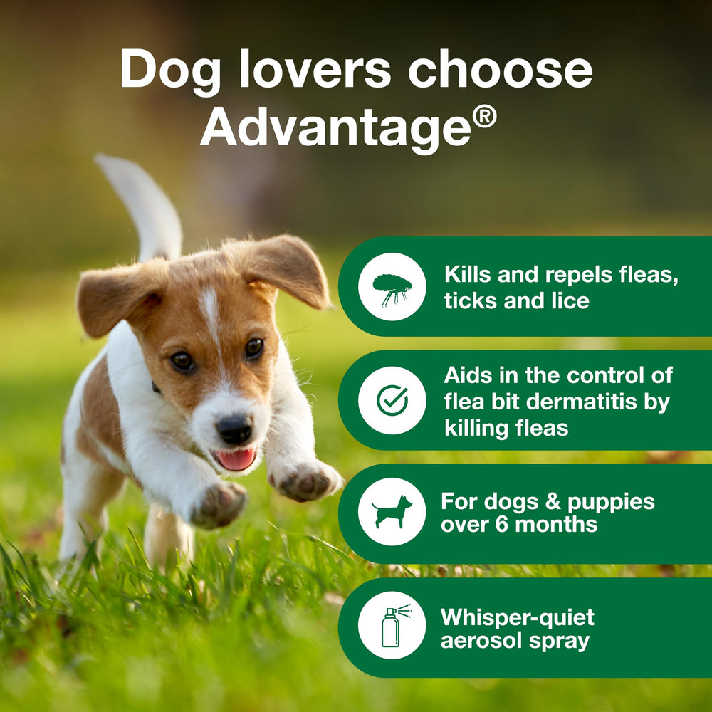 Advantage para perros - elimina pulgas inmaduras y huevos