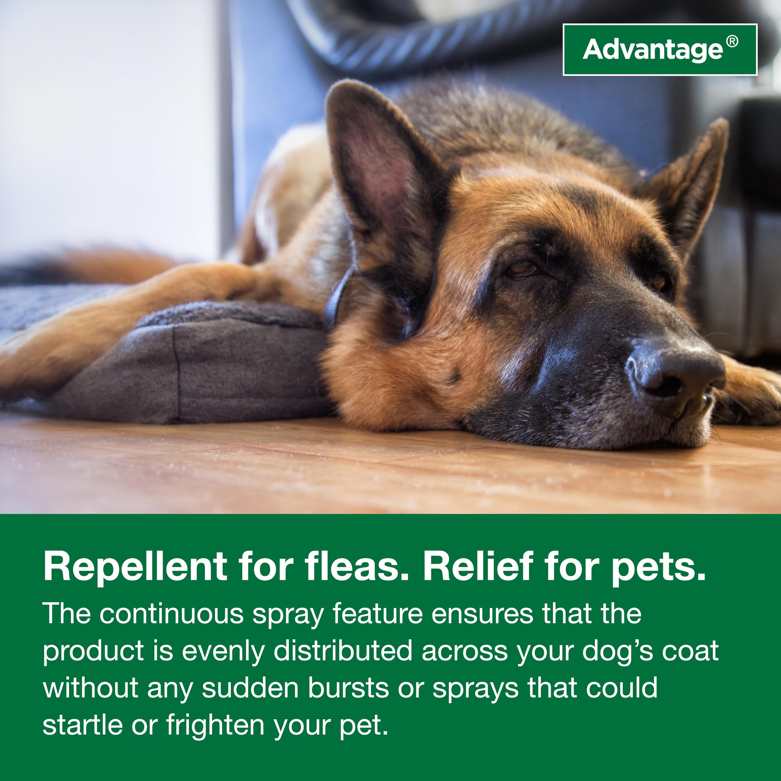 Protección del pelaje con Advantage: spray cómodo y eficaz para perros.