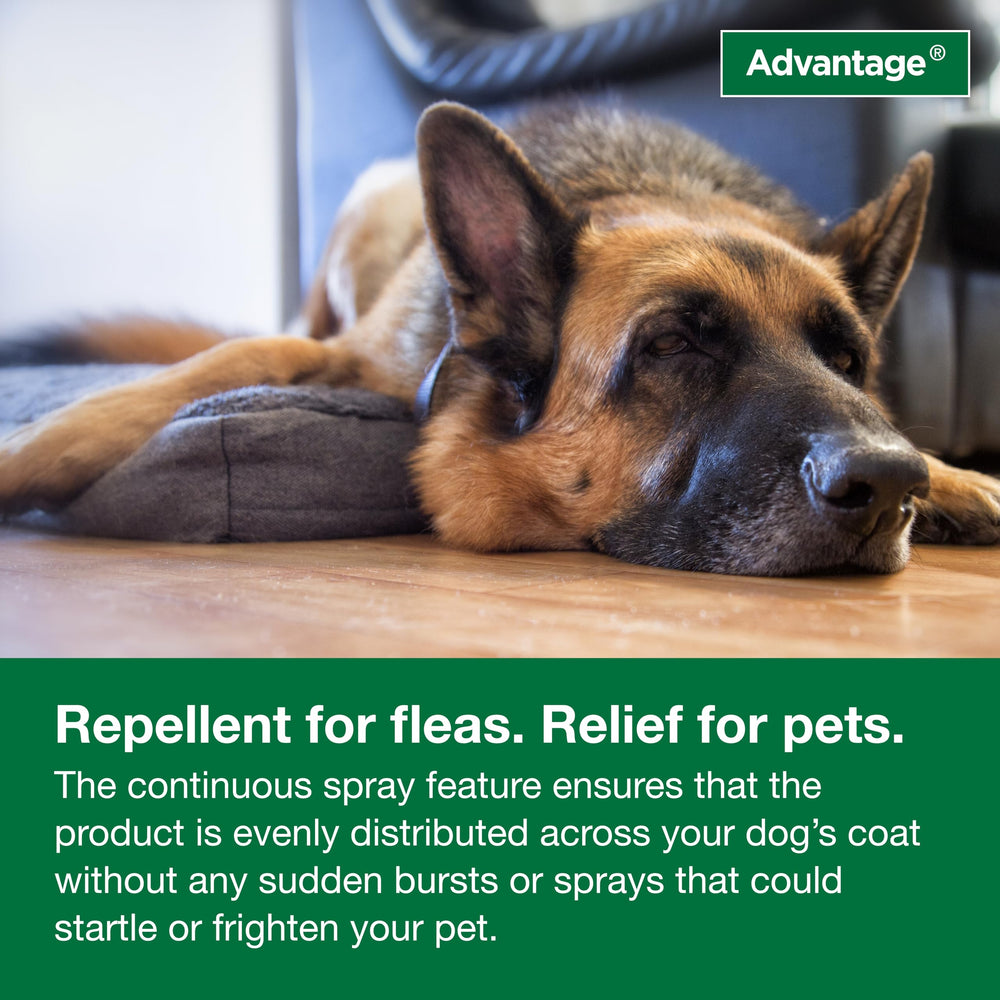Protección del pelaje con Advantage: spray cómodo y eficaz para perros.