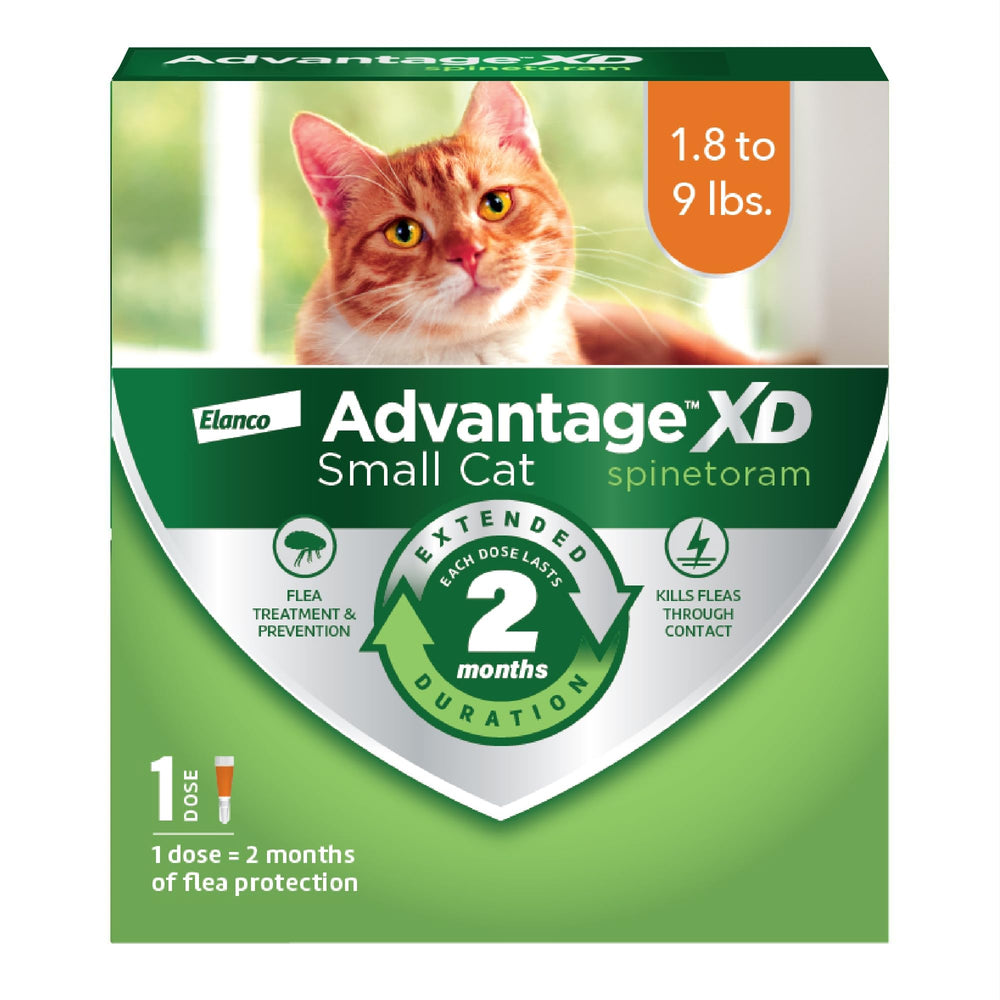 Advantage XD: aplicación en la nuca para gatos pequeños, rápida y segura