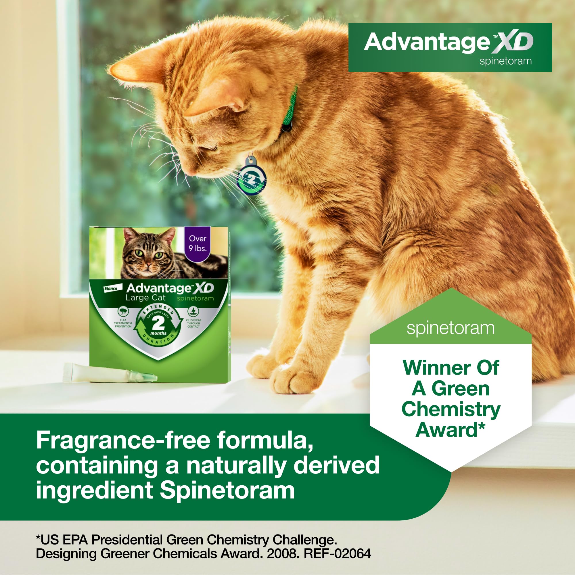 Gato mayor de 9 libras puede recibir Advantage XD con seguridad.
