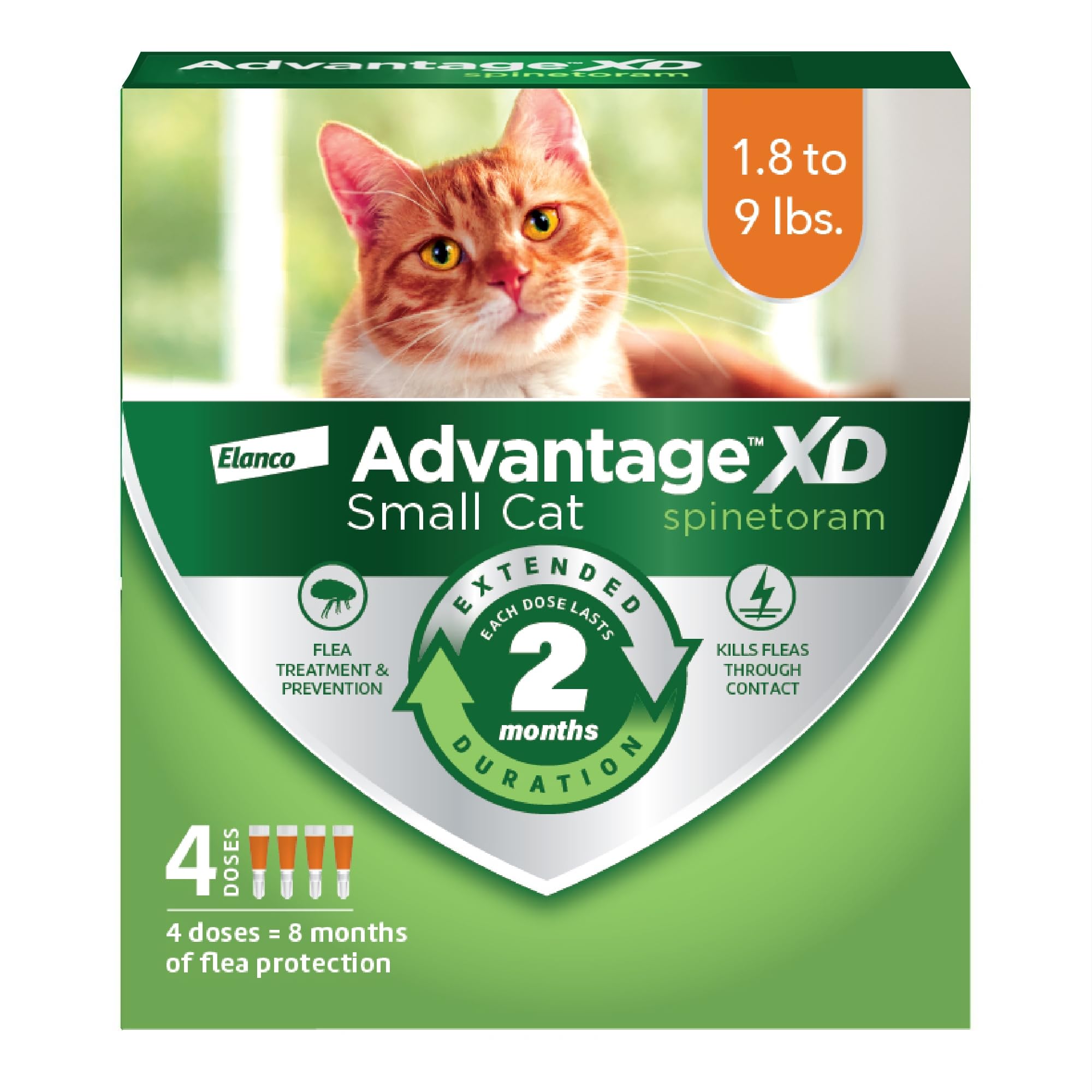 Advantage XD en gato pequeno durante la aplicacion en nuca para proteccion contra pulgas