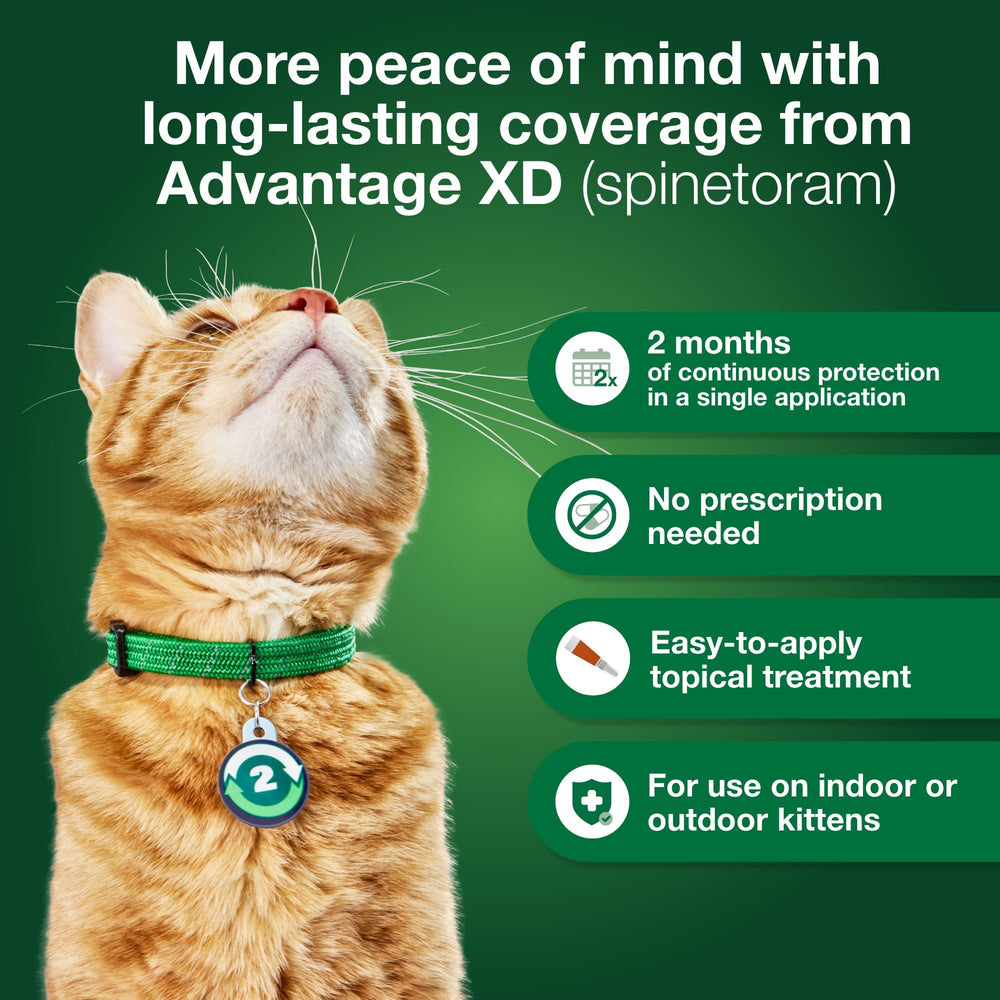 Advantage XD: protección de dos meses por dosis para gatos