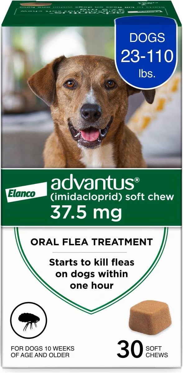 Advantus pastillas orales para pulgas en perros, alivio rápido.