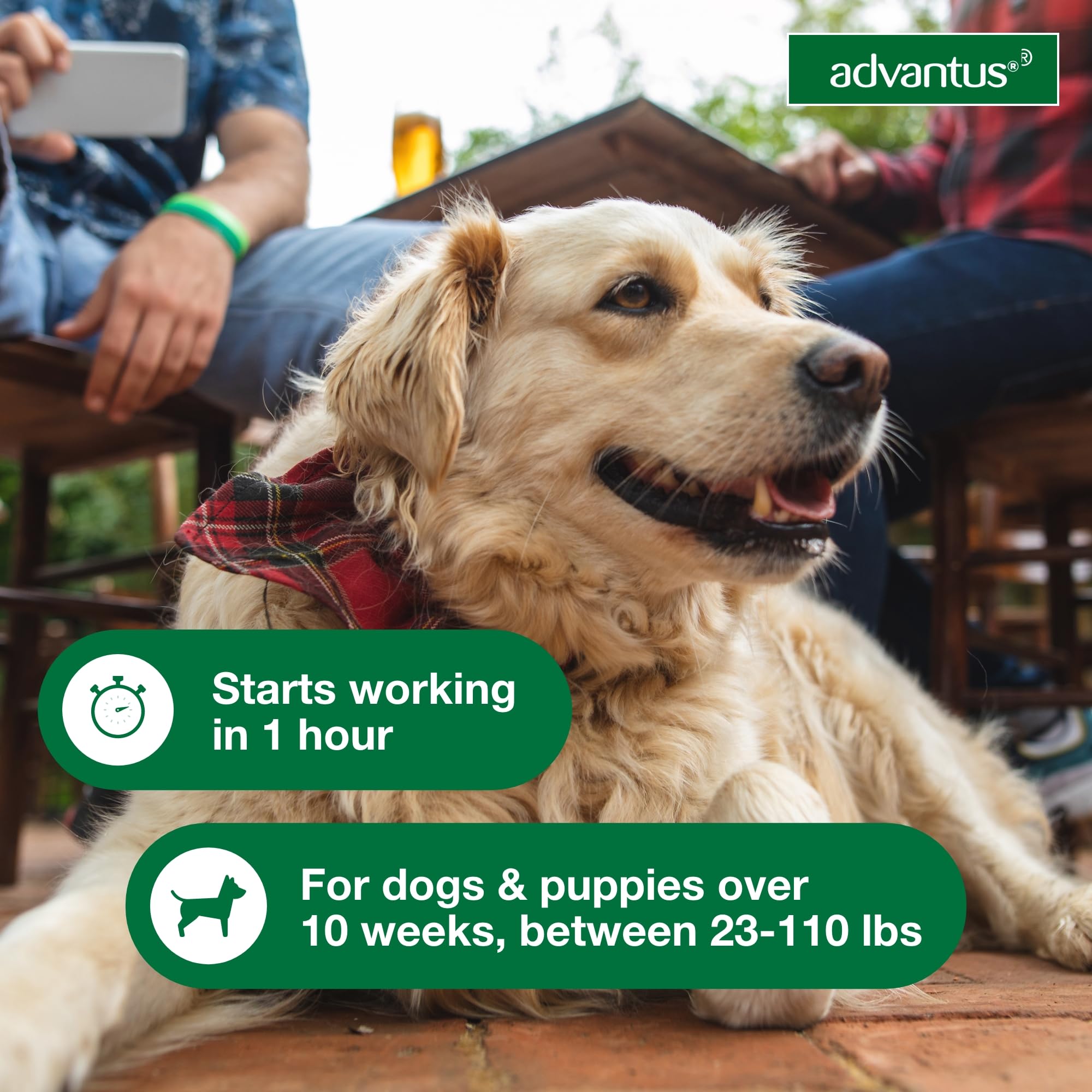 Advantus para perros de 23 a 110 lb, 30 pastillas.