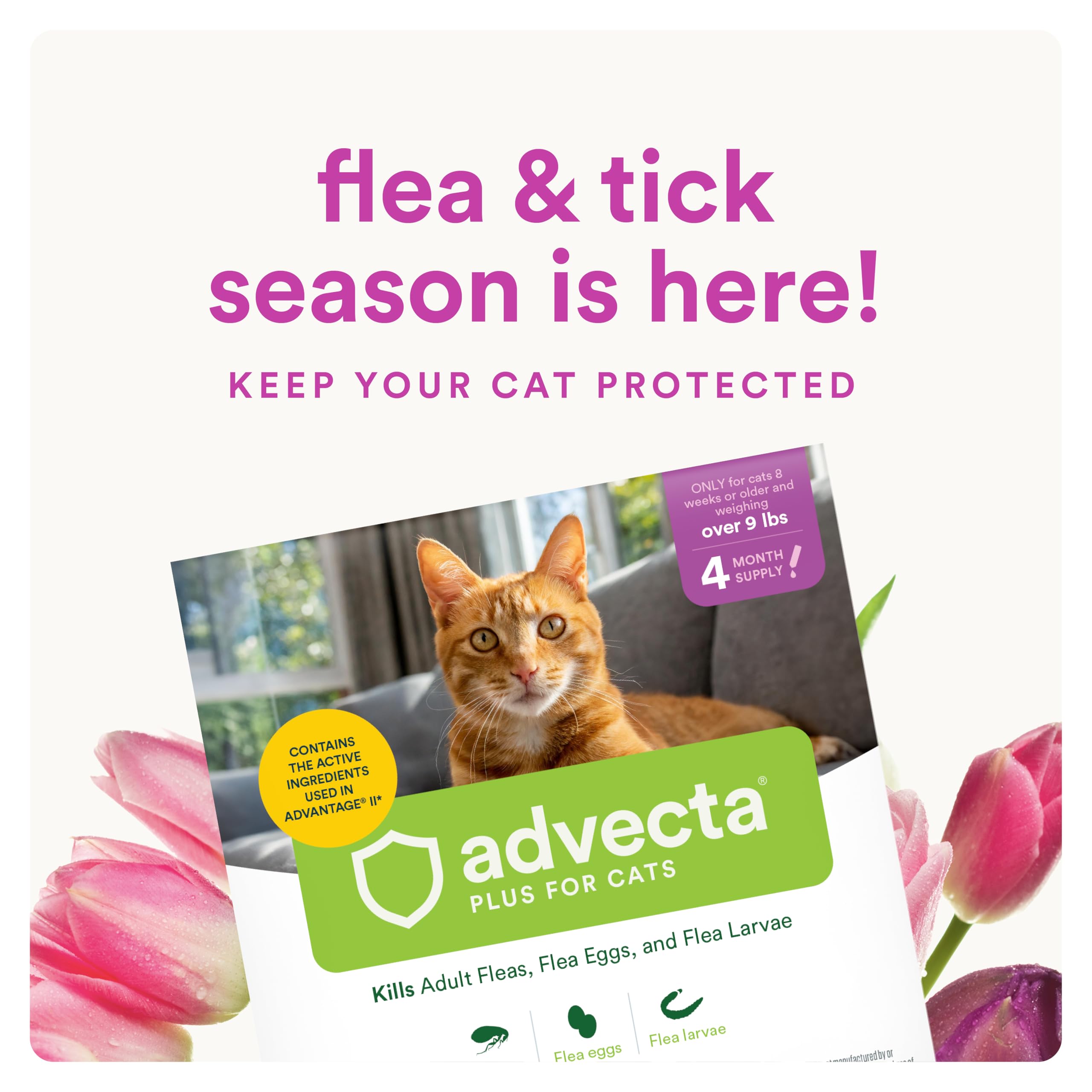 Advecta Plus para gatos: aplicación en la piel para acción rápida contra pulgas.