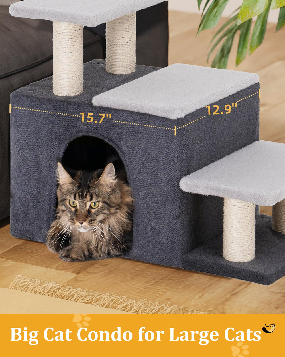 Aechonow base estable para escaleras de gato, mayor seguridad.