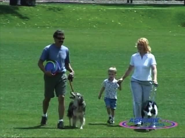 Diámetro de 8 pulgadas del Dogobie Disc para juegos al aire libre