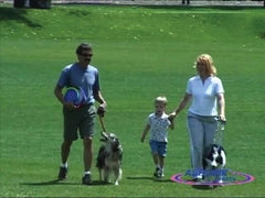 Diámetro de 8 pulgadas del Dogobie Disc para juegos al aire libre