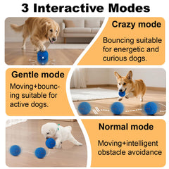 Affiuya Pelota para perros mordedores, diseño Duraspin resistente para sesiones intensas.
