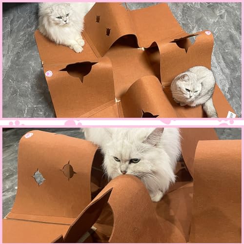 AFLIFLI entretenimiento diario para gatos activos y curiosos.