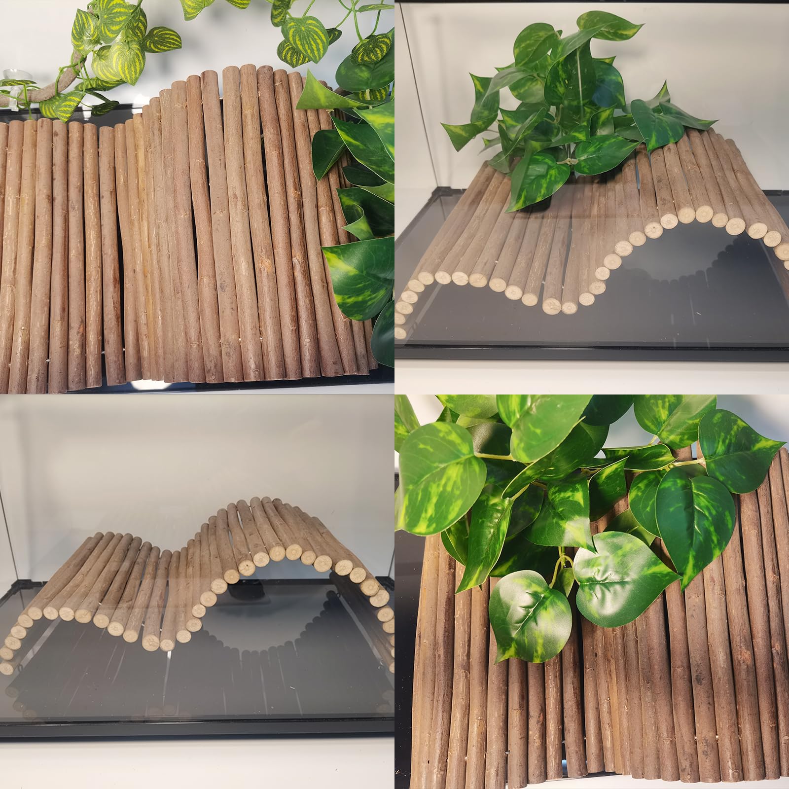 AGGQQA detalles de plantas y ramas, aportan entorno natural al tanque.