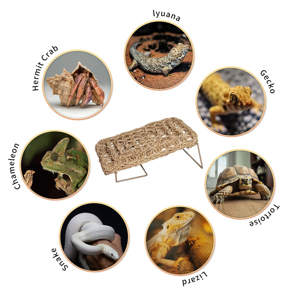 AGGQQA hamaca para reptiles apta para dragon barbudo, lagartos y serpientes