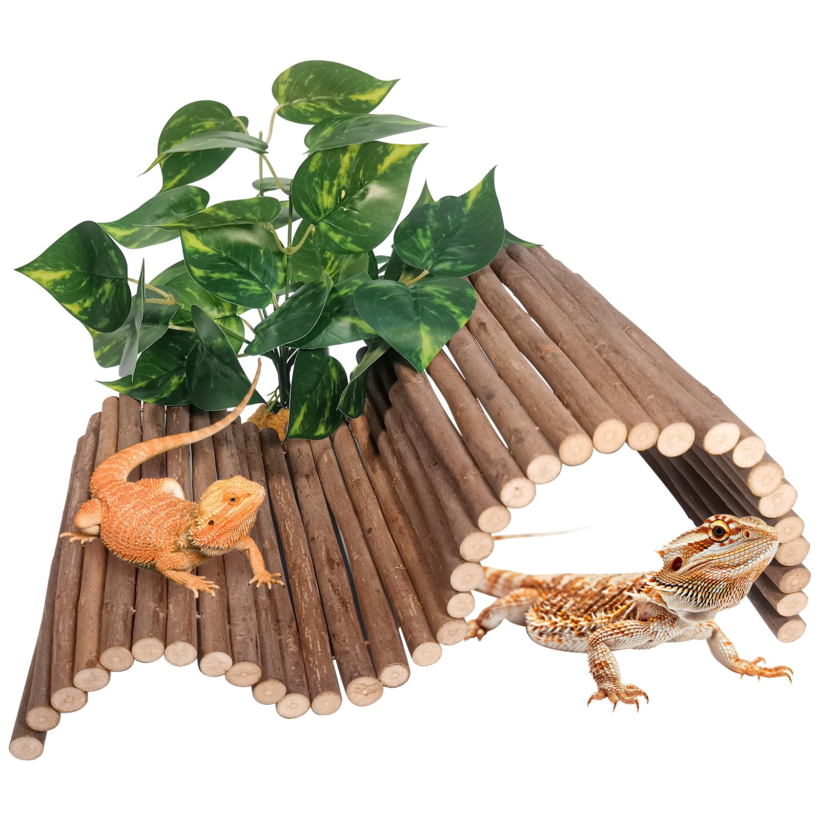 AGGQQA puente de madera para reptiles, ideal para dragón barbudo y geckos.