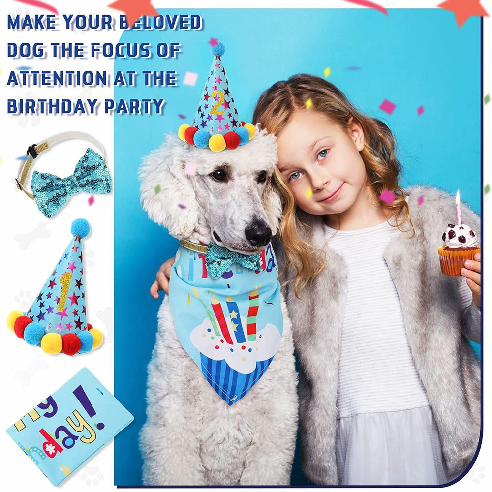Agirlvct happy birthday banner for wall display and cheerful background.