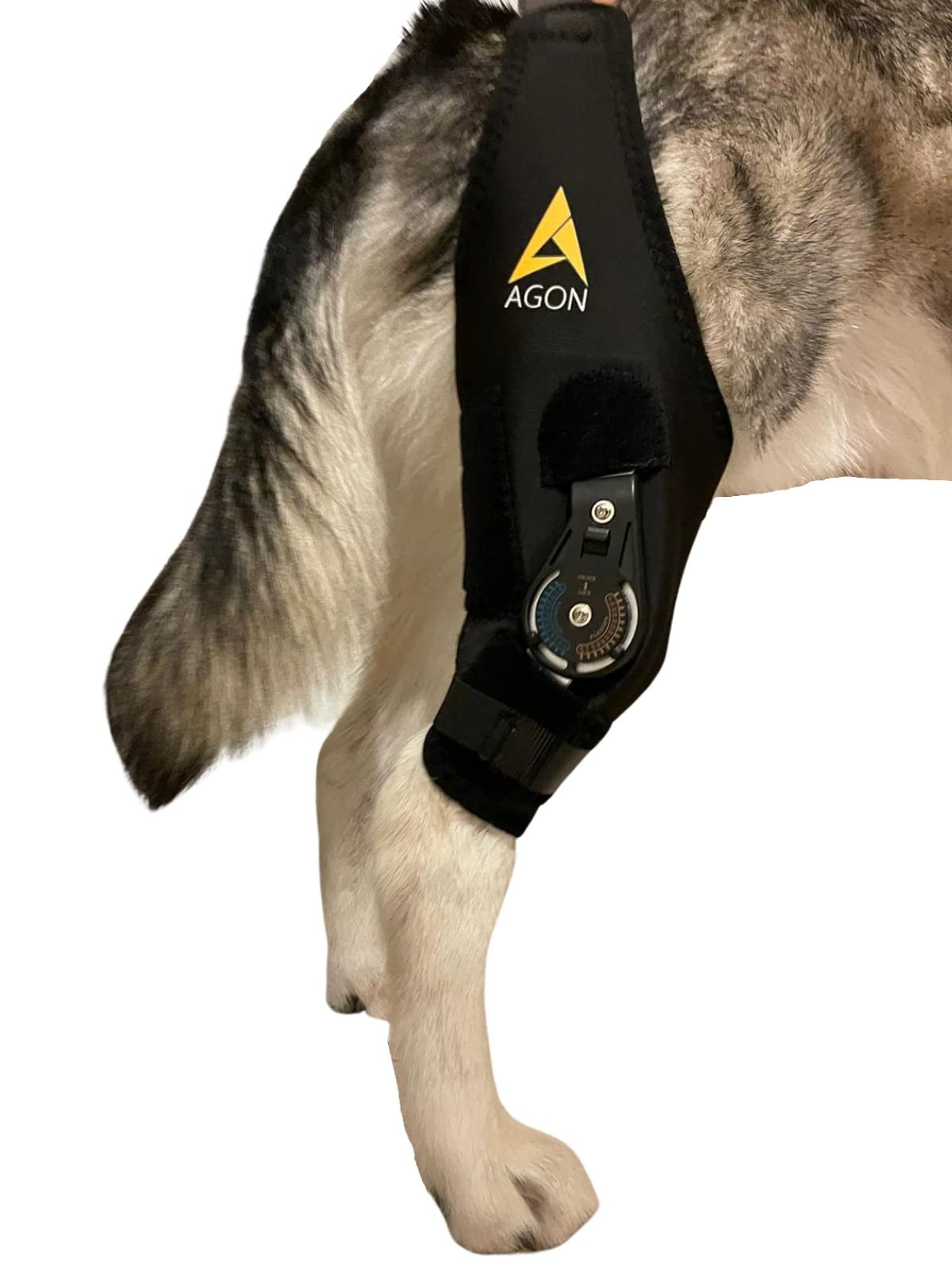 AGON rodilla perro soporte ajuste ofrece soporte estable para la recuperación de la articulación.