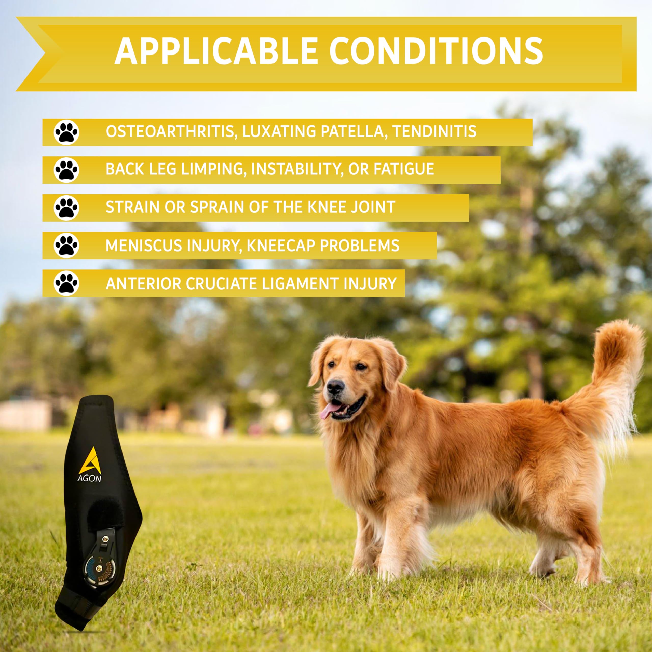AGON rodillera canina, ajuste de pivote, soporte personalizado para articulación