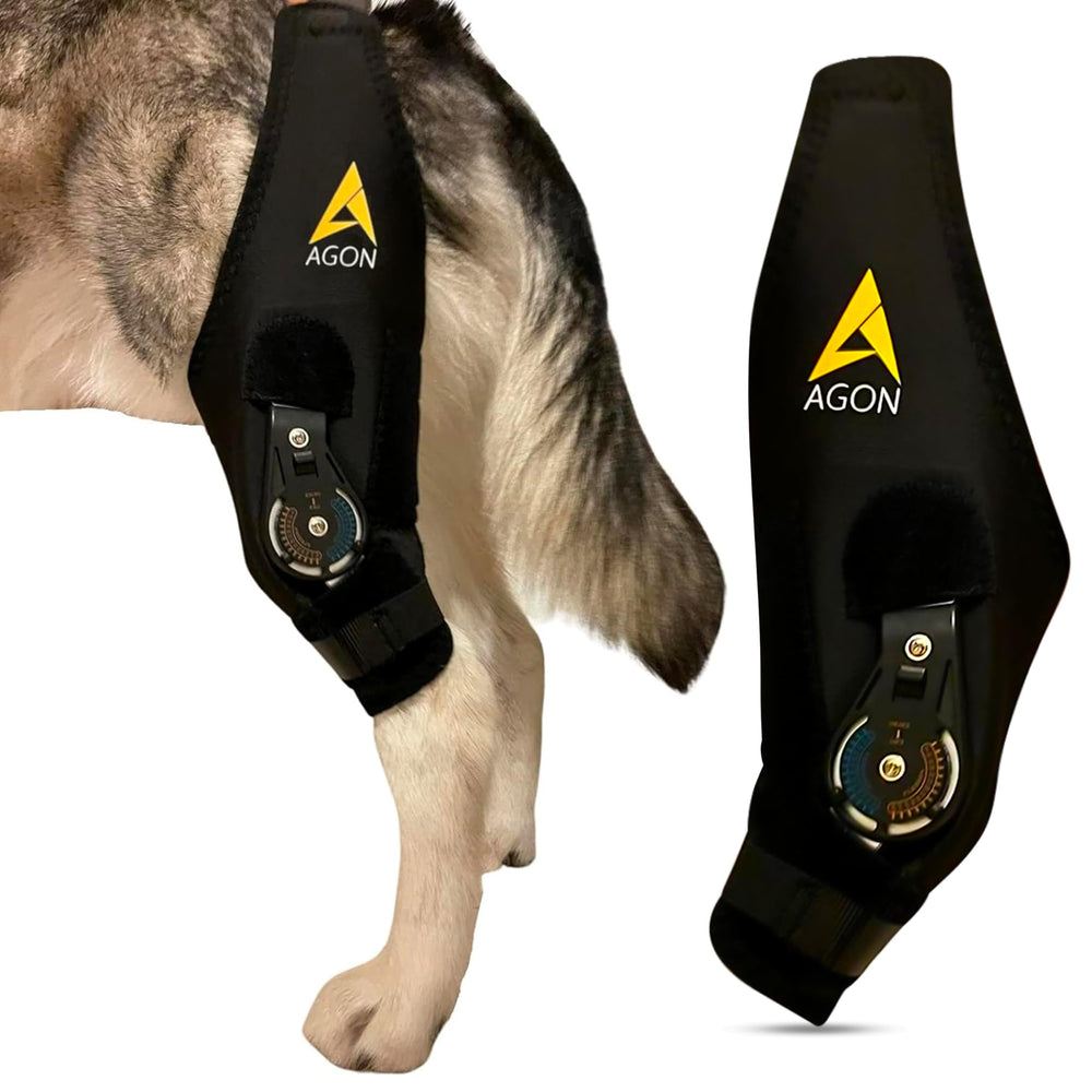 AGON rodillera canina, vista general de talla mediana