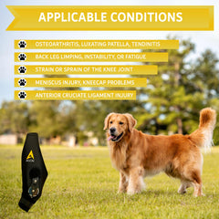 AGON rodillera para perro diseño de neopreno transpirable para mayor comodidad.