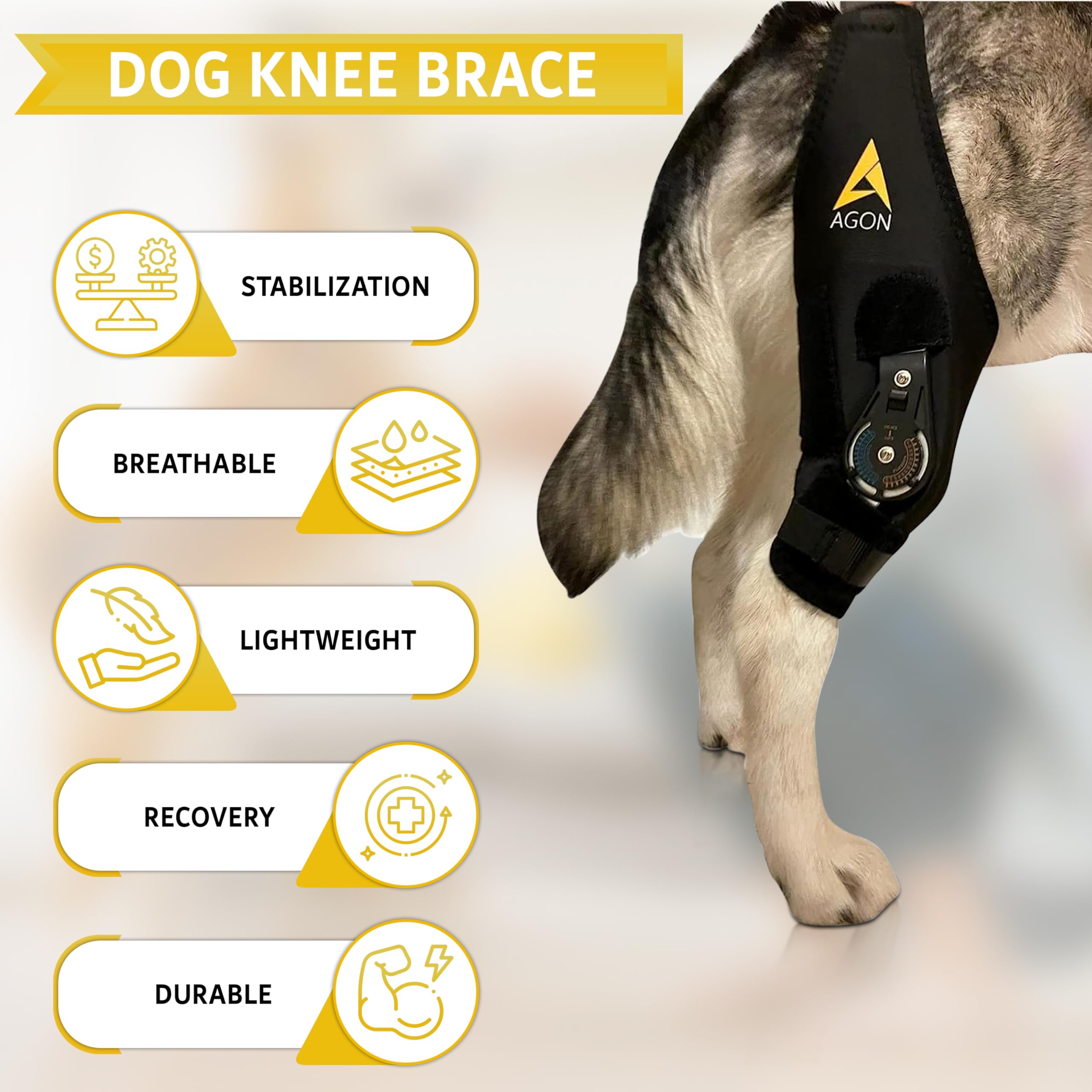 AGON rodillera para perro, soporte estable y cómodo para ejercicios de rehabilitación.