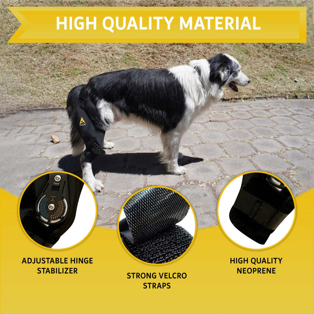 AGON rodillera para perro mejora confort transpirable y potencial alivio.