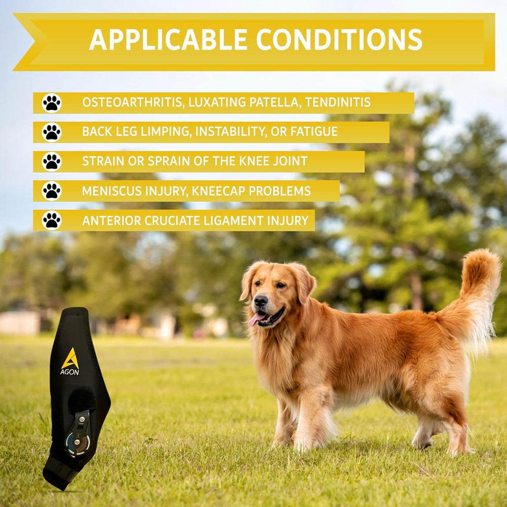 Rodillera AGON para perro, enfoque en recuperación y movilidad, material transpirable.