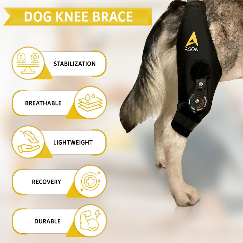 AGON uso postoperatorio rodilla perro ayuda a mantener la articulación estable durante la recovery.