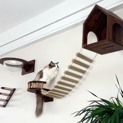 AGRICUE cuerda de sisal para escalada de gatos, ideal para juego