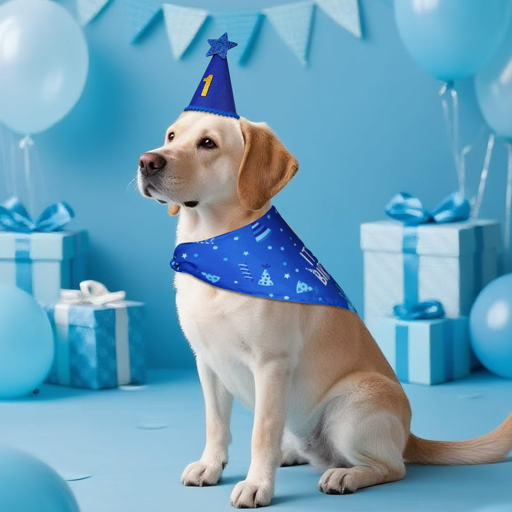 Agroon bandana doble cara Feliz Cumpleaños para looks festivos.