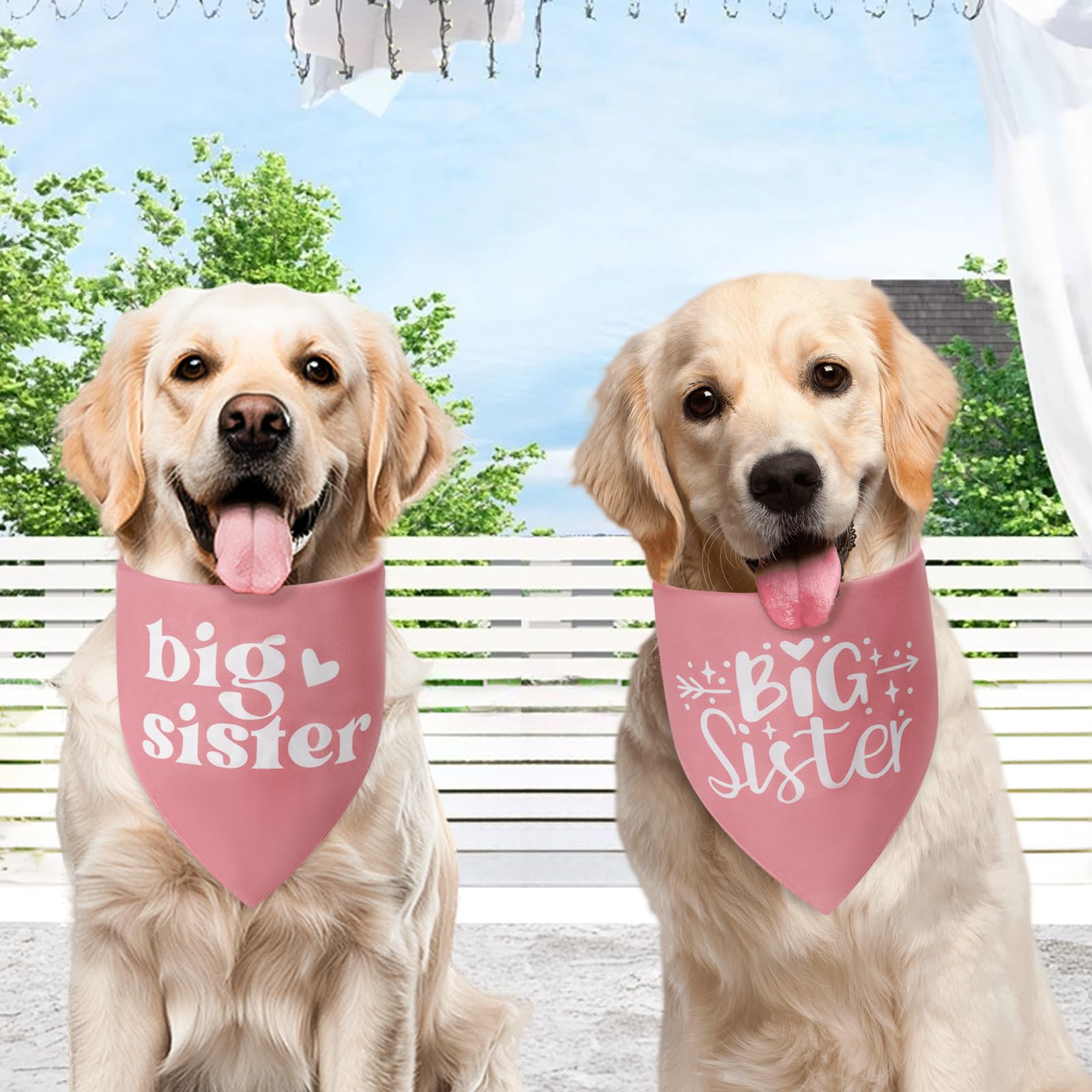 Bandana Agroon, regalo perfecto para perros y momentos especiales