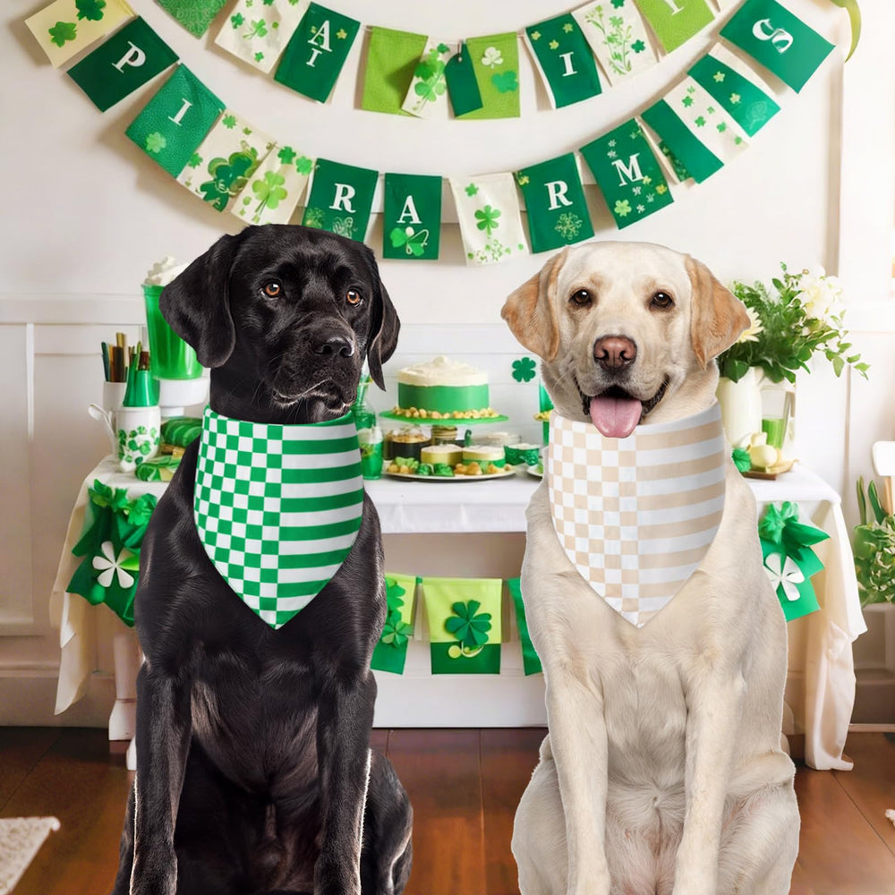 Bandana Agroon puesta en mascota, ideal para fiestas y sesiones