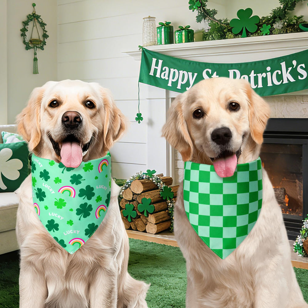 Ideales para sesiones de fotos y eventos con temática de San Patricio.