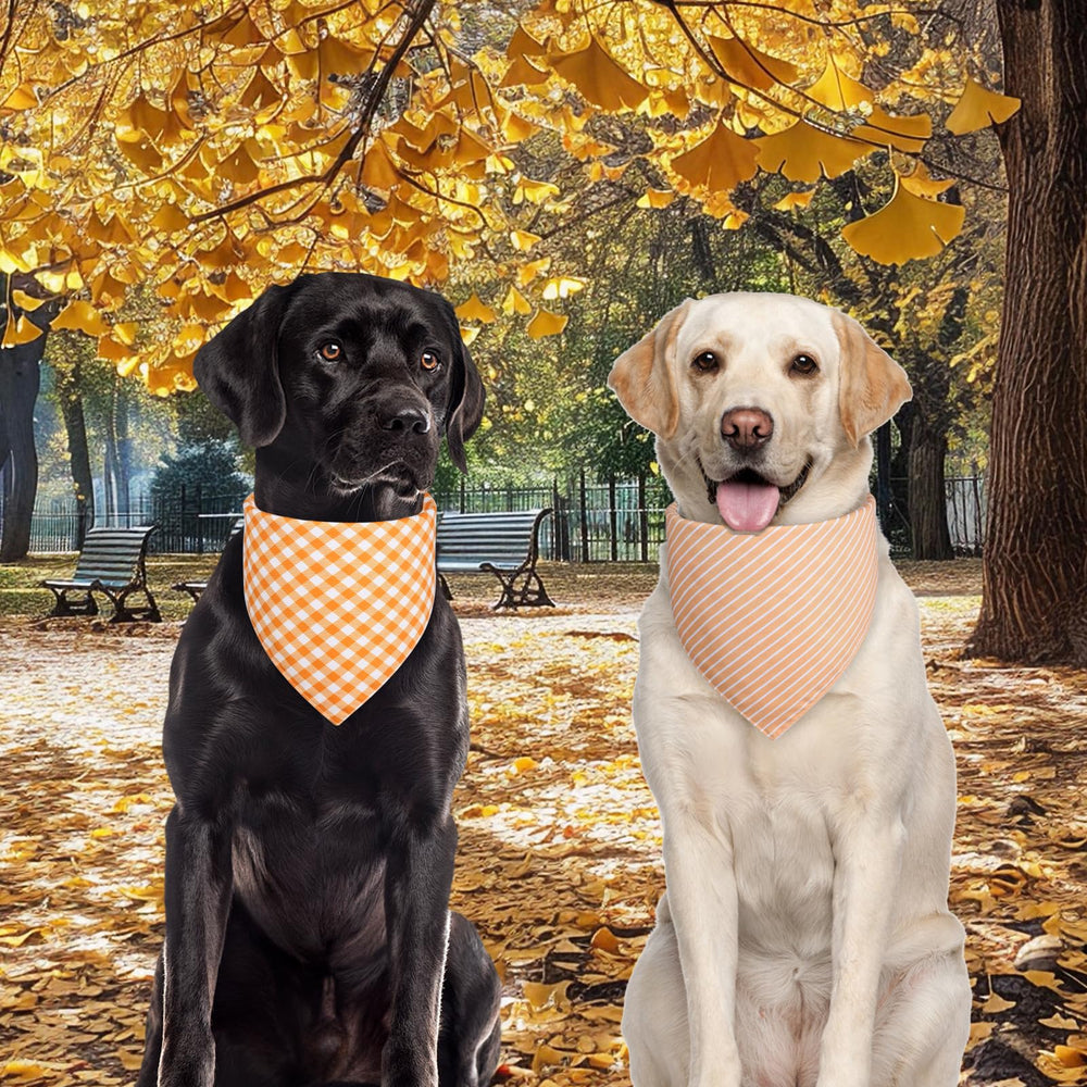 Bandana Agroon para perro, colores vivos para estilo diario.