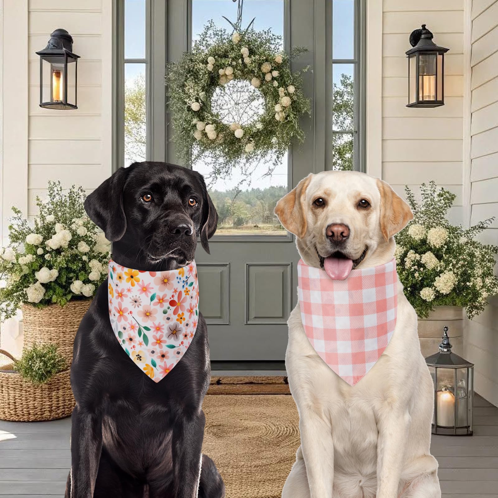 Bandana Agroon para perros, ideal para fiestas y paseos.