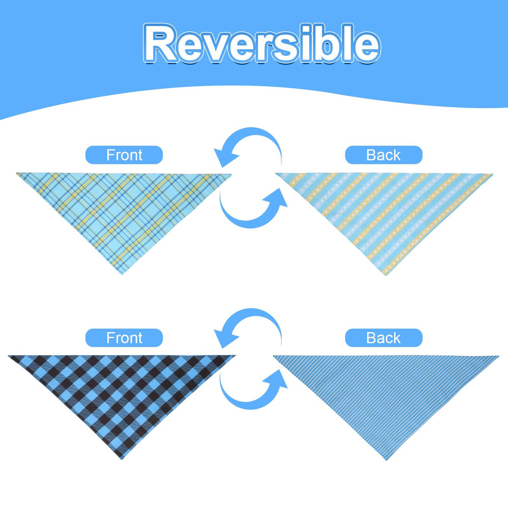 Paquete de 2 bandanas Agroon, formato perfecto para fotos y fiestas.