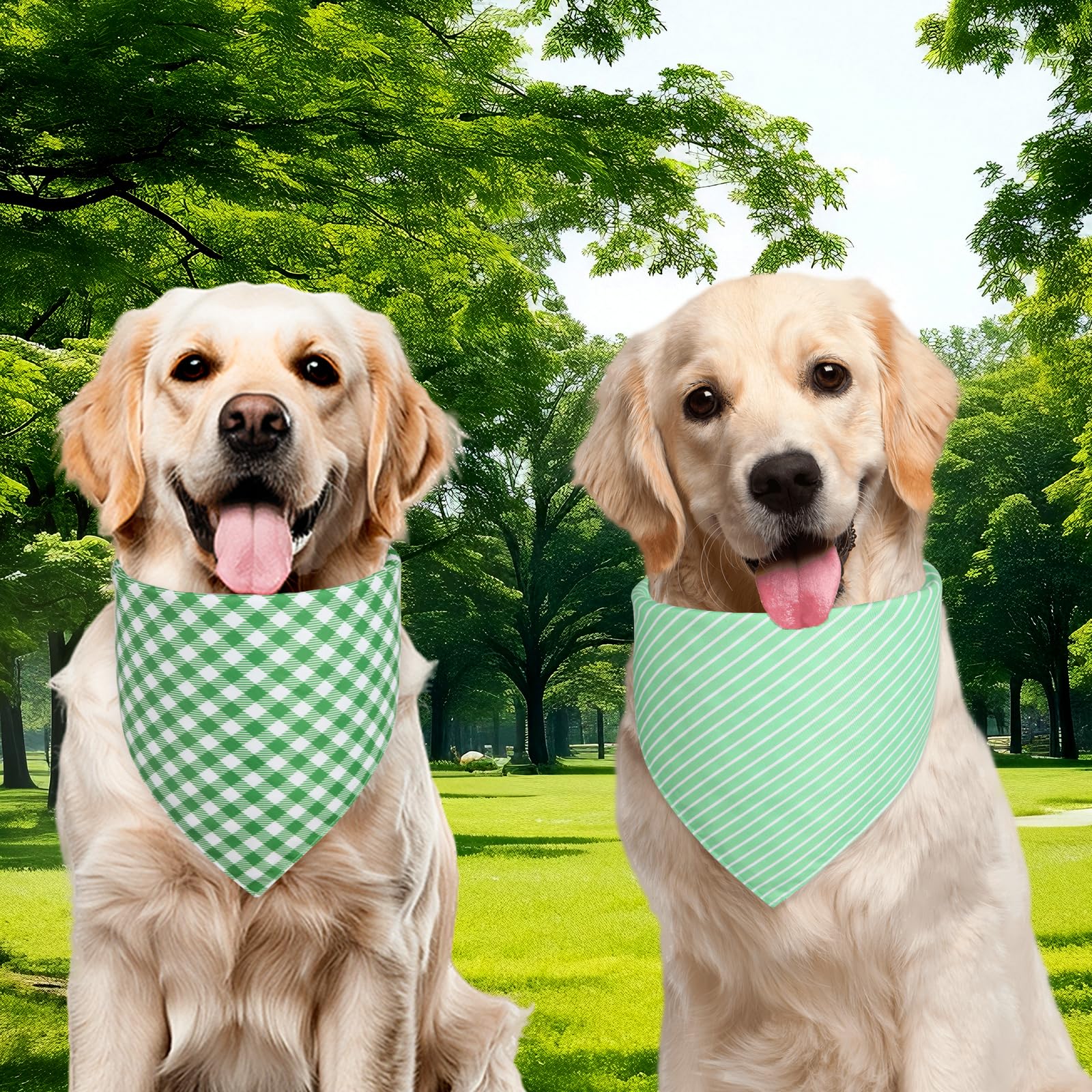Bandana Agroon para perro, ideal para sesiones de fotos y regalos.