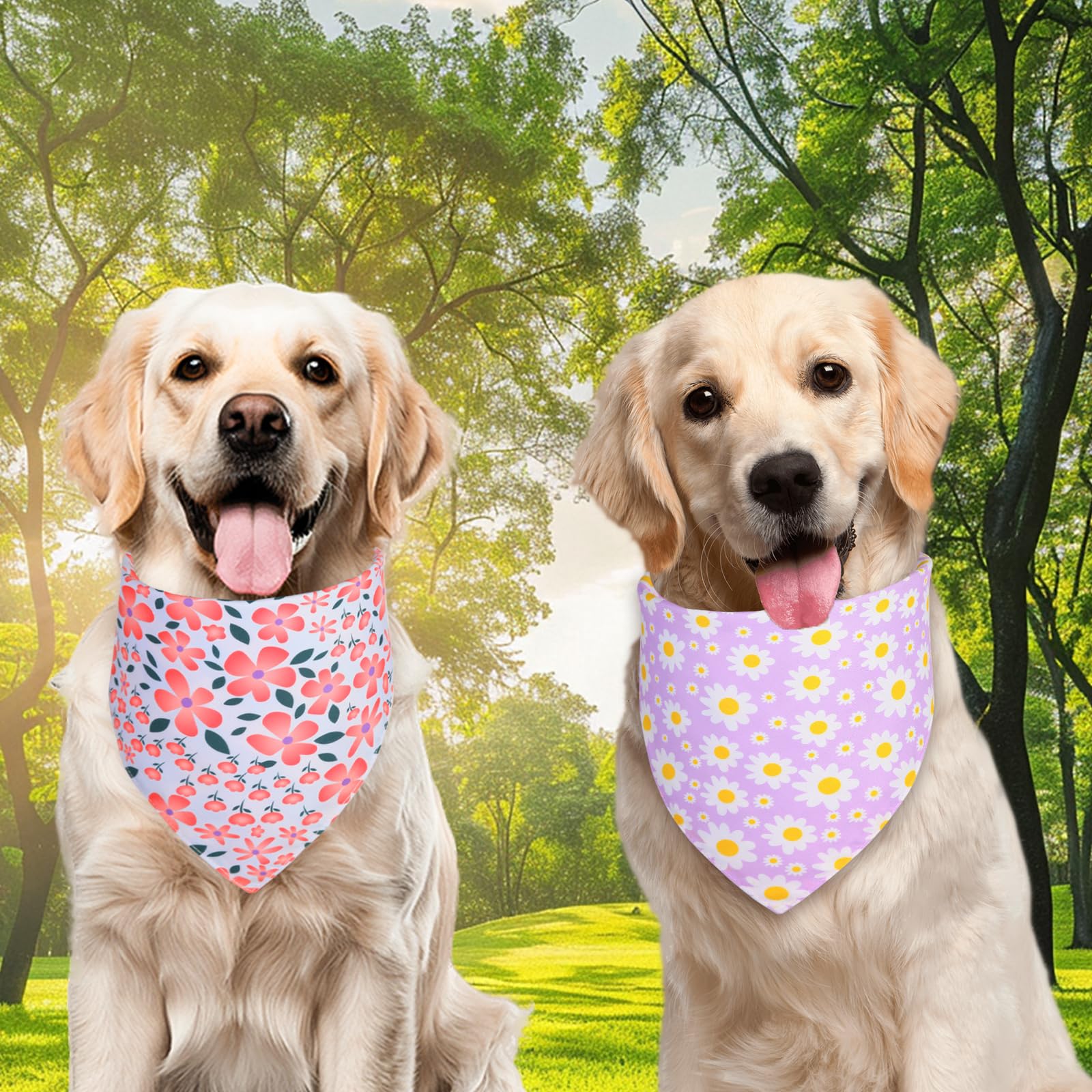 Agroon talla 18x25, ideal para perros medianos con estilo
