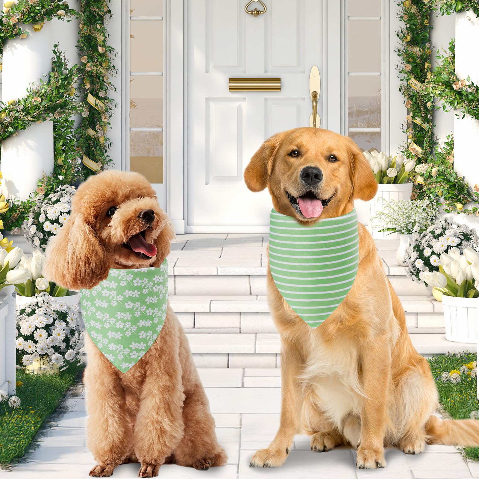 Bandana Agroon para perro, talla ajustable para cuello cómodo en todas las razas.